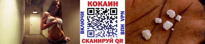 Купить где  Узловая  COCAIN Fish Scale 