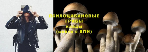 тгк Бронницы