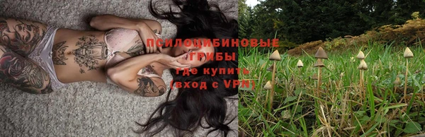 mdpv Бугульма