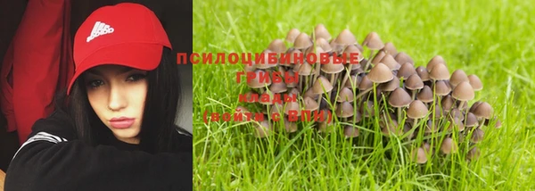 мескалин Бородино