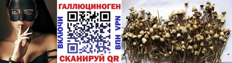 Псилоцибиновые грибы ЛСД  Купить где  Узловая 
